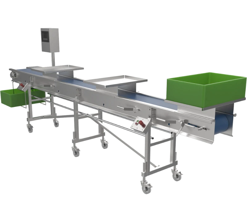 Конвейер с гомогенной лентой