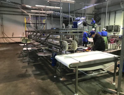 01-linija-dlja-ukladki-ryby-v-banki - фото 1