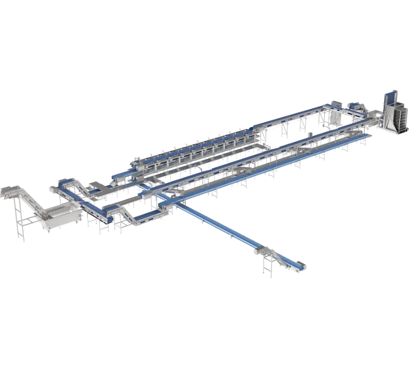 Производственный участок для разделки рыбы - Фотография 2