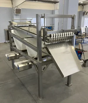 03-sortirovka-ryby - фото 1