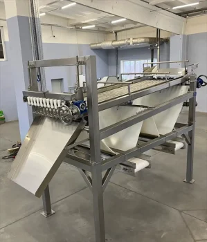 04-sortirovka-ryby - фото 2