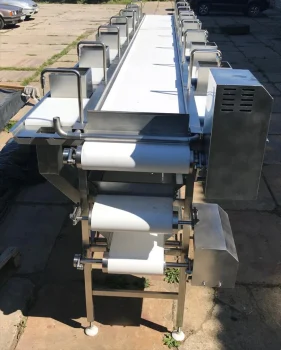 05-linija-razdelki-ryby - фото 4