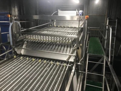 08 linija-dlja-sortirovki-melkojj-ryby - фото 2