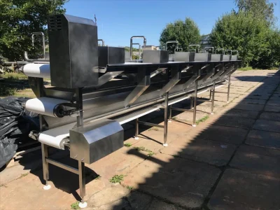 08-linija-razdelki-ryby - фото 2