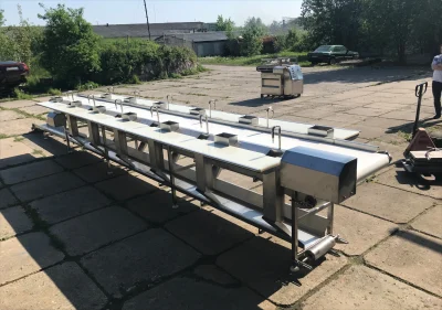 10-linija-razdelki-ryby - фото 3