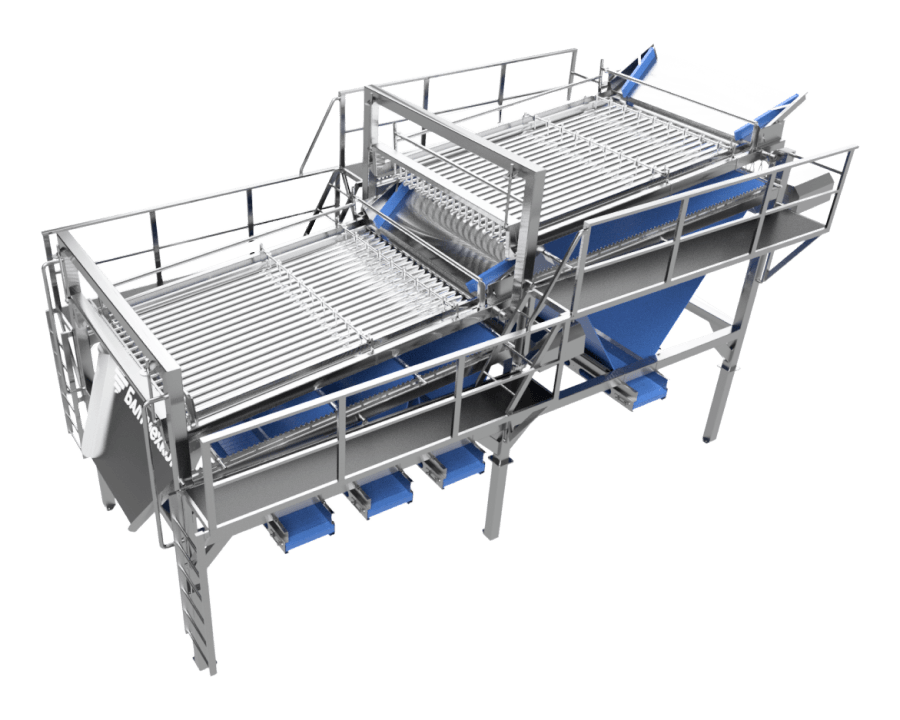 Автоматический сортировщик живой рыбы. Сортировка рыбы. Шнековый сортировщик для рыбы. Сортировщик рыбной продукции. Сортировщик рыбы узв.