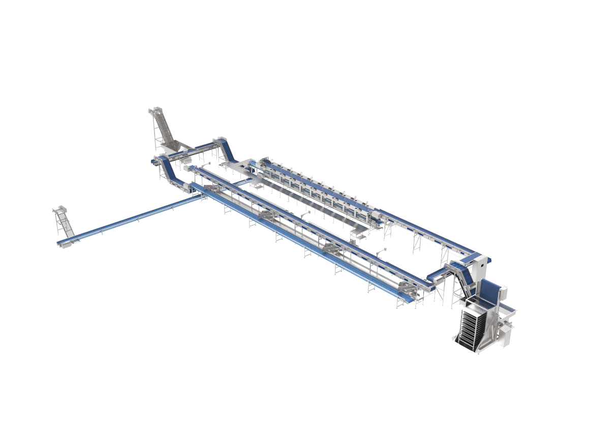 Производственный участок для разделки рыбы