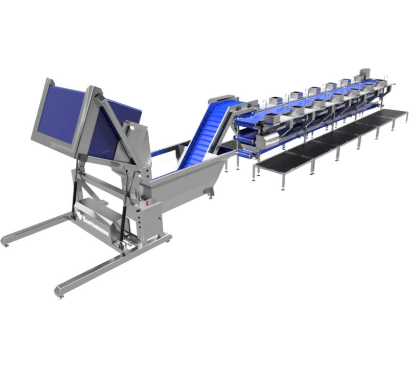 Линия разделки рыбы - Фотография 3