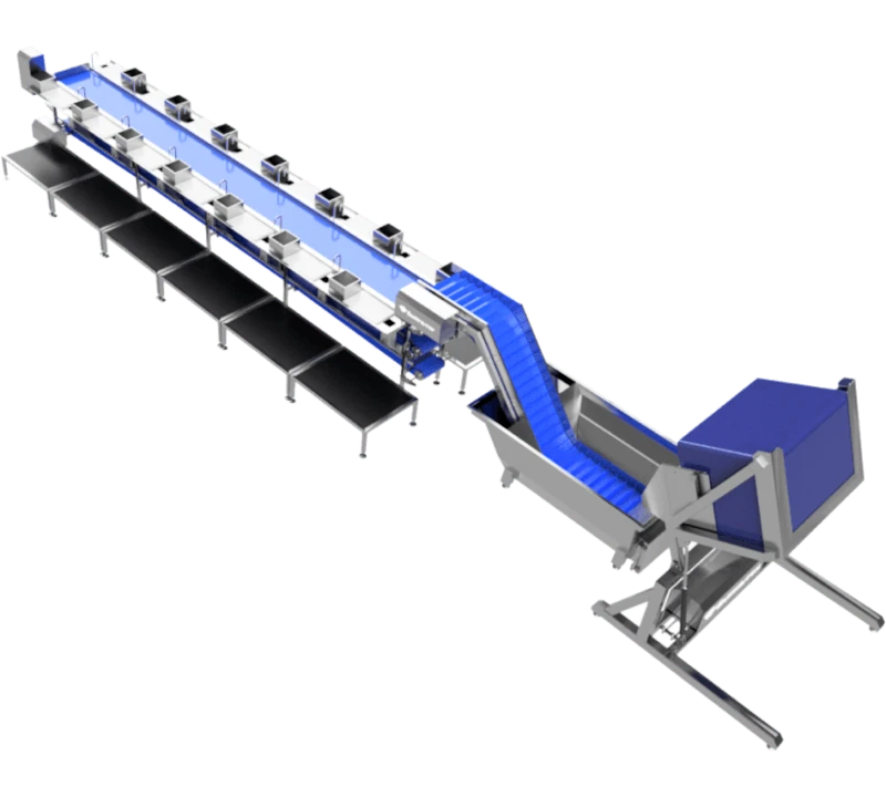 Линия разделки рыбы - Фотография 4