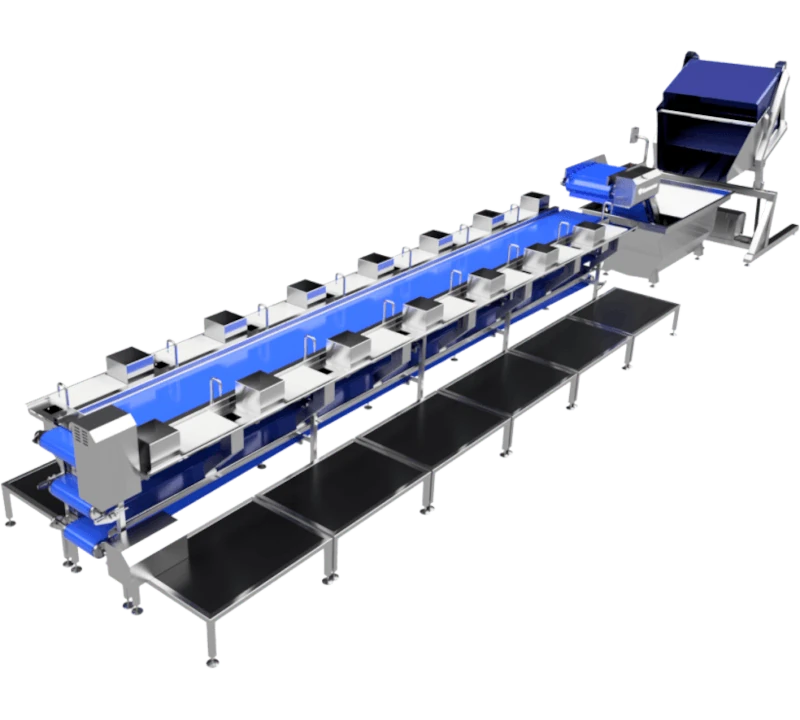 Линия разделки рыбы - Фотография 2