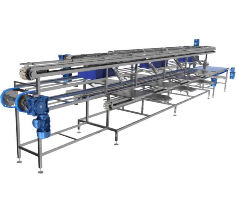 Линия для укладки рыбы в банки - Фотография 2