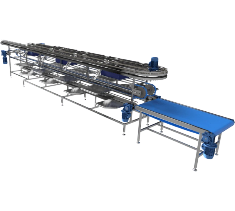 Линия для укладки рыбы в банки - Фотография 4