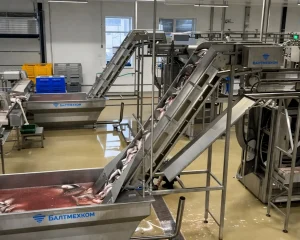 Как спроектировать линию по производству пищевой продукции: от идеи до готового оборудования.