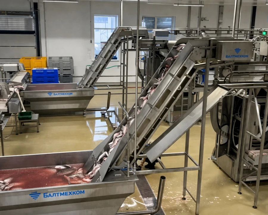 Как спроектировать линию по производству пищевой продукции: от идеи до готового оборудования.