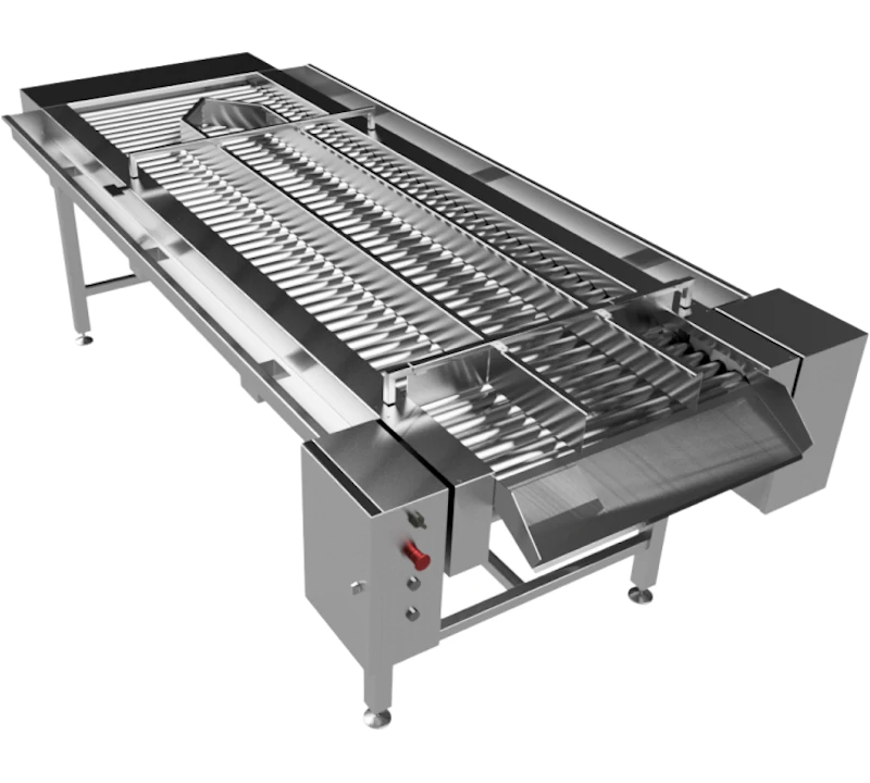 Роликовый инспекционный конвейер