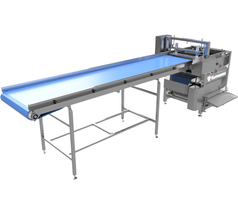 Полуавтоматический послойный загрузчик корзин автоклава - Фотография 3
